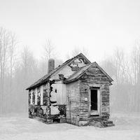Wendel White