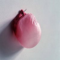 Christine  Shank