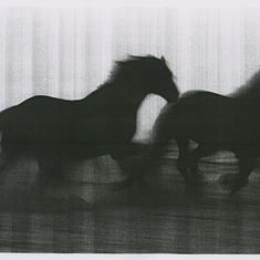 HARD COPY NEW YORK In Conversation