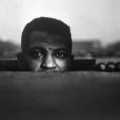 The Sweet Flypaper of Life and the Changing Faces of Photobooks, 1950 - 1970