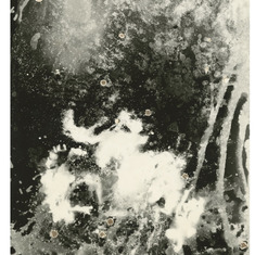 Introduction to Experimental Darkroom Photography with Kimberly Schneider