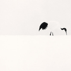 Book Event— Michael Kenna: 