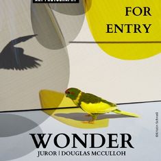 Call for Entry: Wonder
